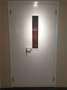 醫(yī)用鋼質(zhì)平開門廠 潮州醫(yī)用鋼質(zhì)平開門 百事特門業(yè)